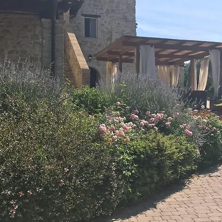 Re Artu Country Lifestyle Assisi